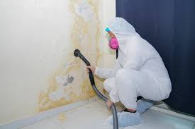 Why You Should Choose Our Mold Remediation Services in Muttontown, NY